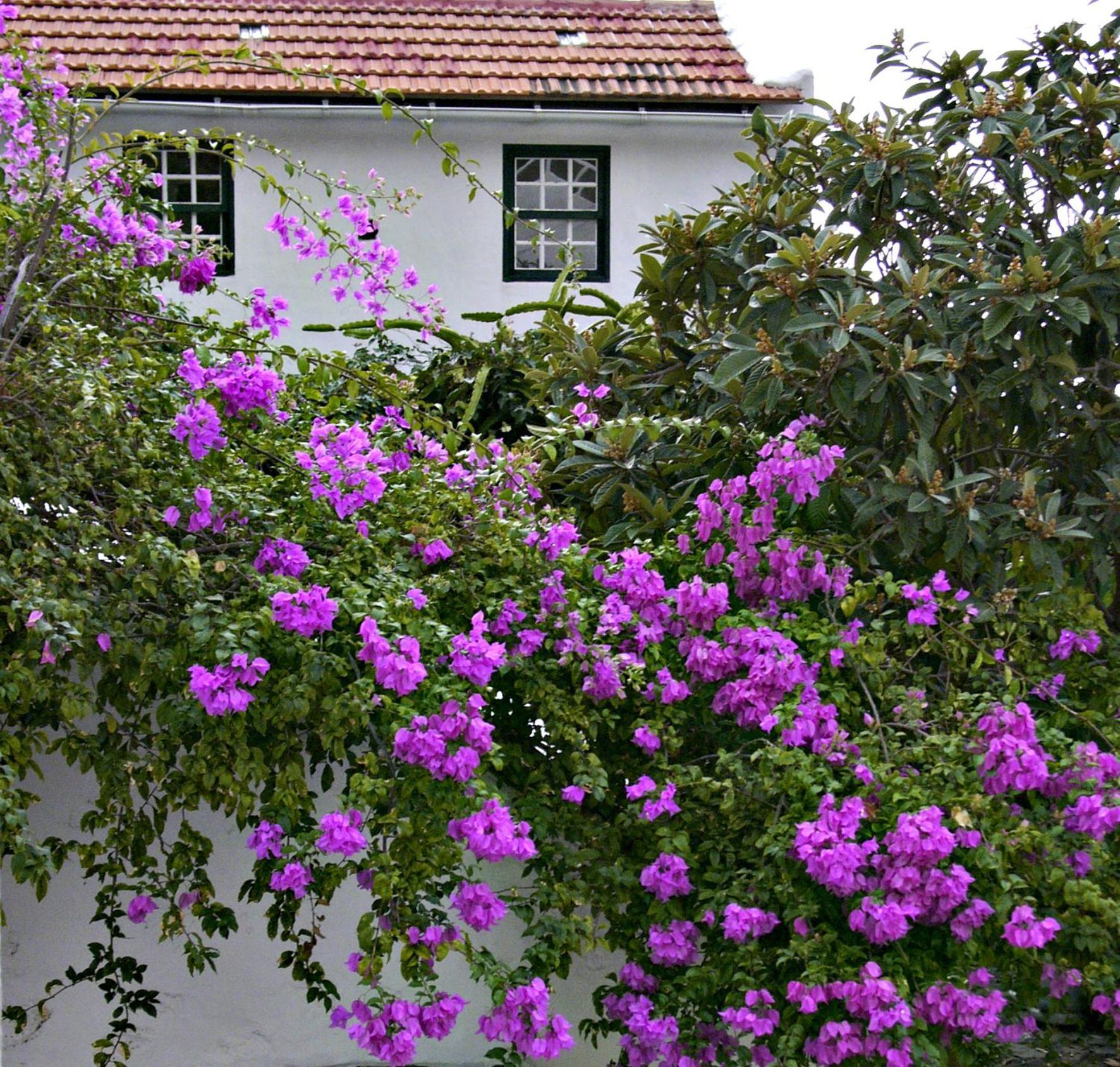 El Sitio Apartment